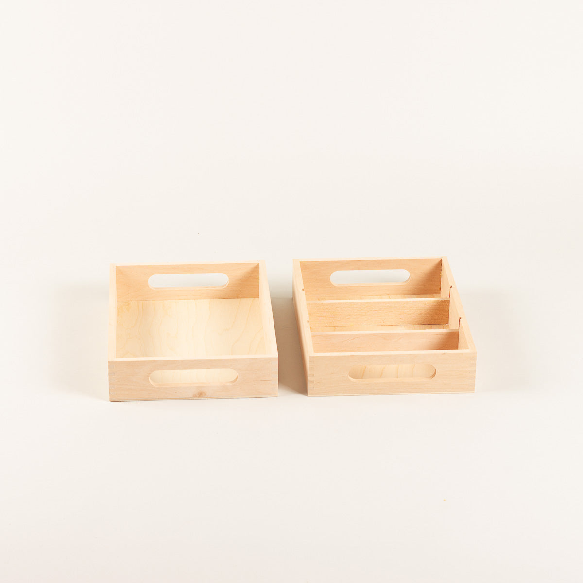 Inzetbakjes schoenpoetskist set van 2