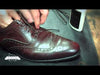 Shoe lace replacement video